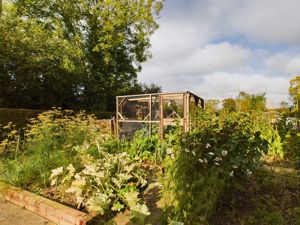 Vegetable Garden- click for photo gallery